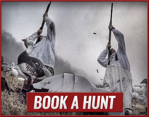 Book A Hunt Book A Hunt With The Goose Guys Waterfowl Hunting LLC